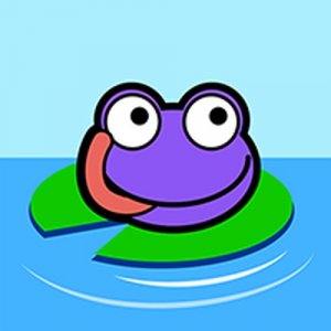 Leaping Frog Fly Catch