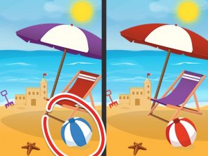 Spot The Difference: Seasons Puzzle Game