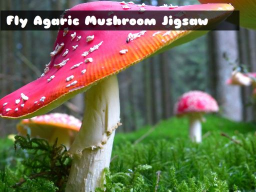 Fly Agaric Mushroom Jigsaw Puzzle Game