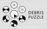 Debris Puzzle Circle Game Online