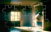 Asylums Picture Piece Sliding Puzzle Game