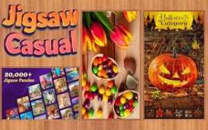 Jigsaw Puzzle Collection Online