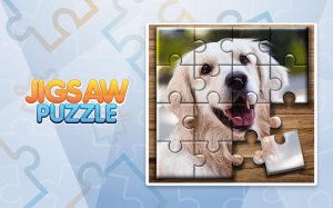 Jigsaw Puzzle Game: Animal & World Online