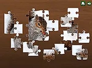 Year-Round Picture Assembly Challenge