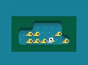 Feathered Friends: Arrangement Puzzle
