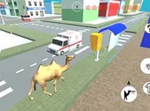 Urban Camel Adventure